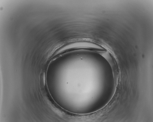 X0000062140013200512161229