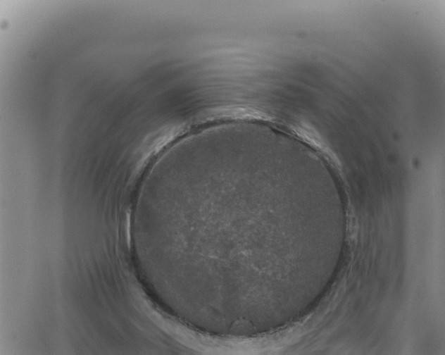 X0000062140014200512161229