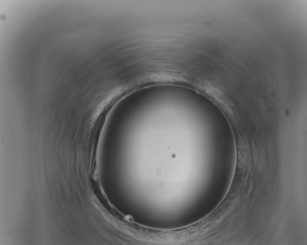 X0000062140015200512161229