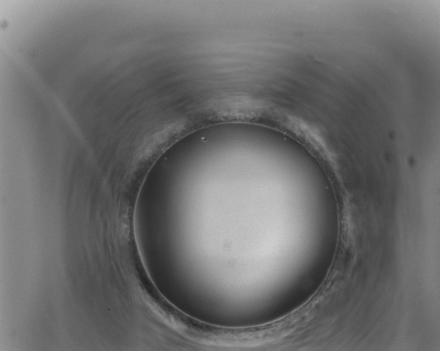 X0000062140017200512161229