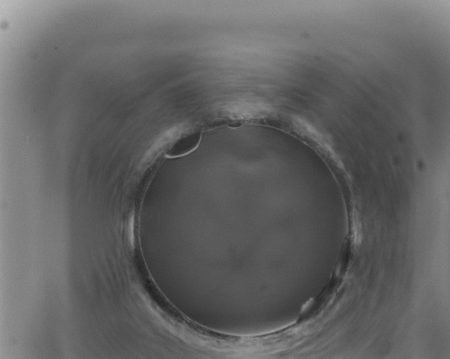 X0000062140019200512161229