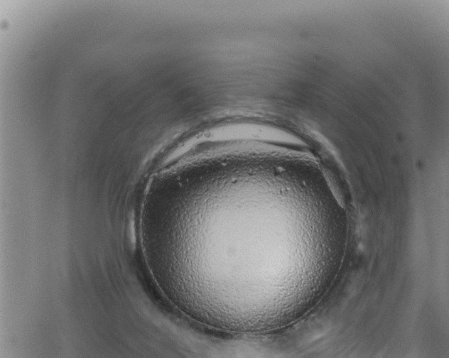 X0000062140020200512161229