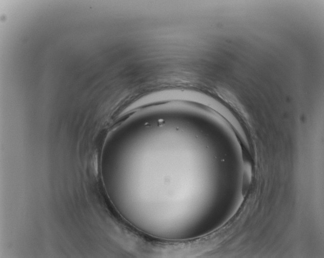 X0000062140021200512161229