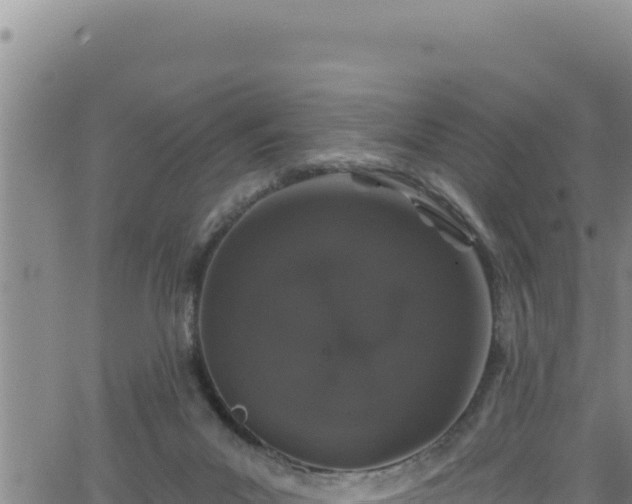 X0000062140023200512161229