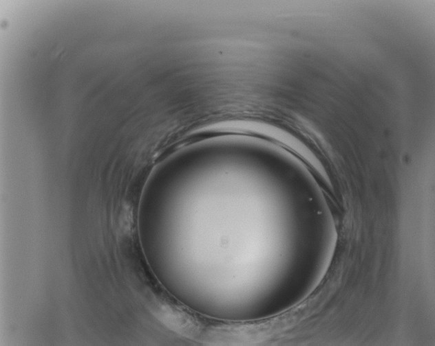 X0000062140025200512161229