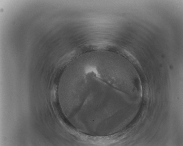 X0000062140026200512161229