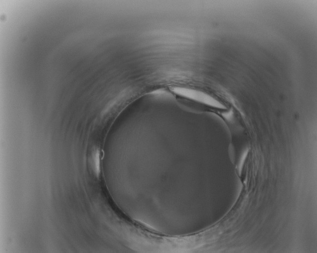 X0000062140027200512161229