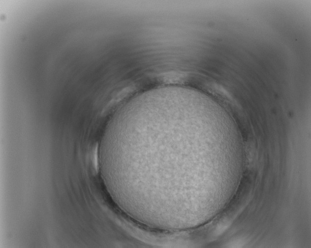 X0000062140028200512161229