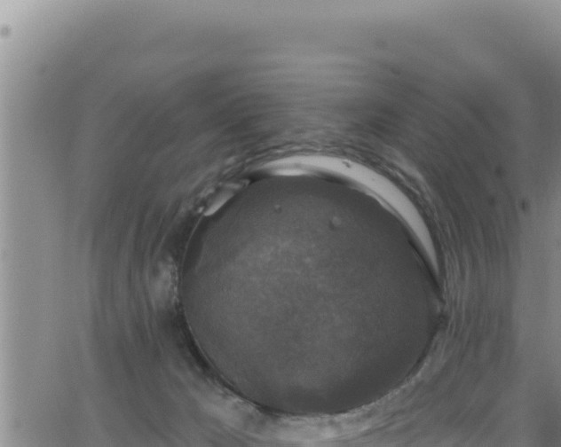 X0000062140029200512161229