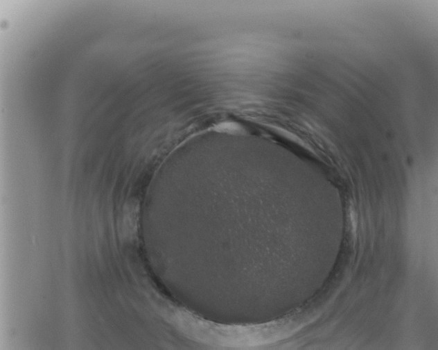 X0000062140030200512161229