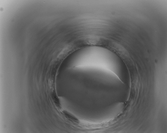 X0000062140031200512161229