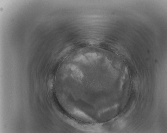 X0000062140032200512161229