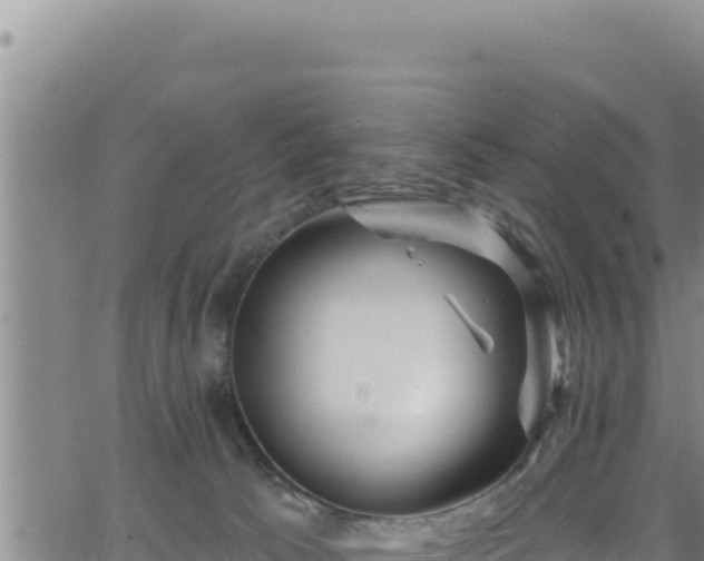 X0000062140033200512161229