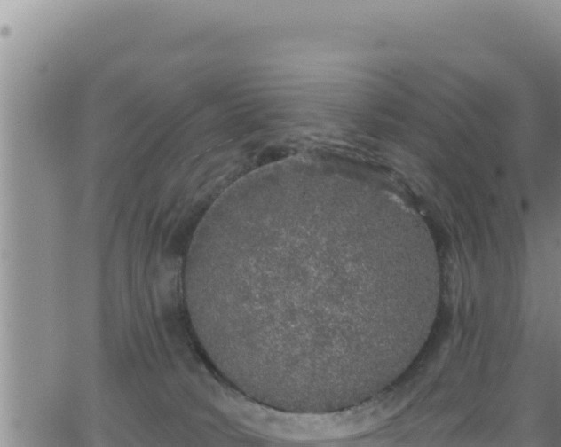 X0000062140034200512161229