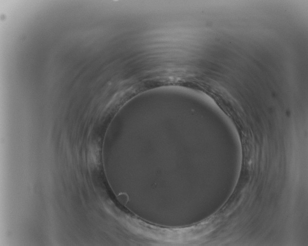 X0000062140035200512161229