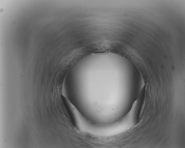 X0000062140037200512161229