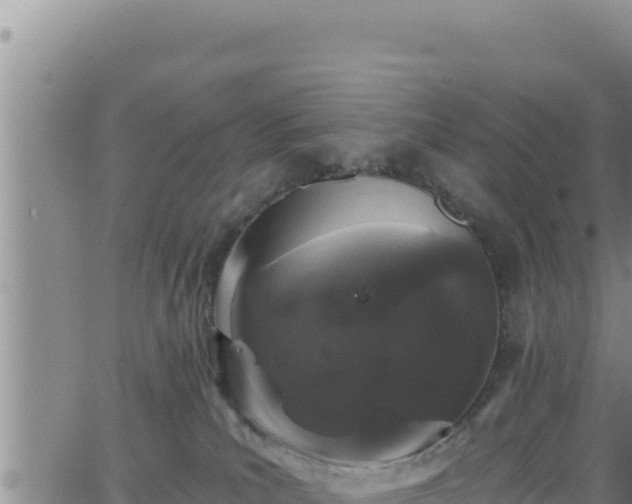 X0000062140039200512161229