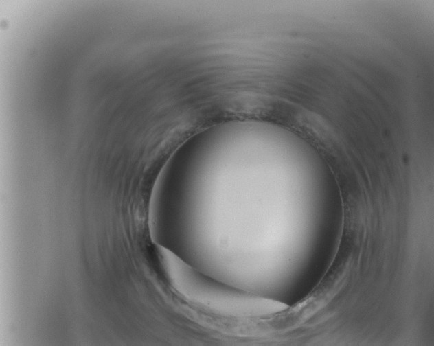 X0000062140040200512161229