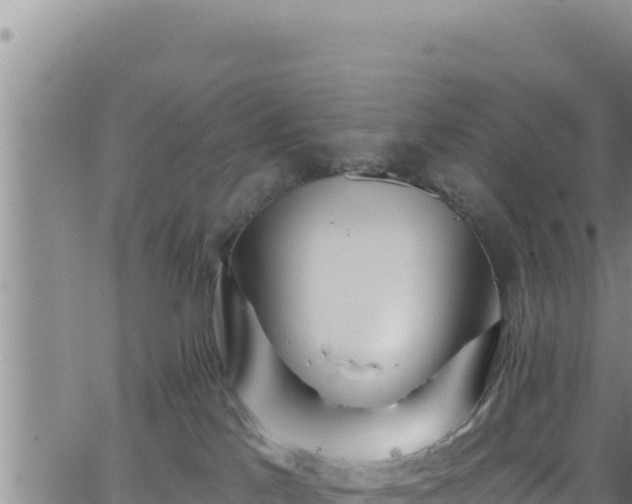 X0000062140041200512161229