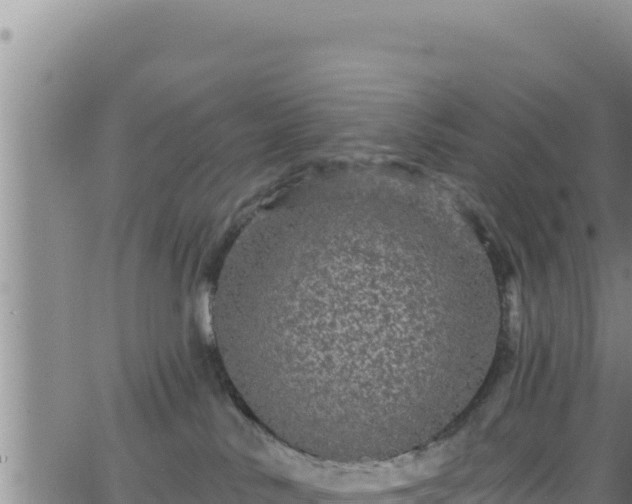 X0000062140042200512161229