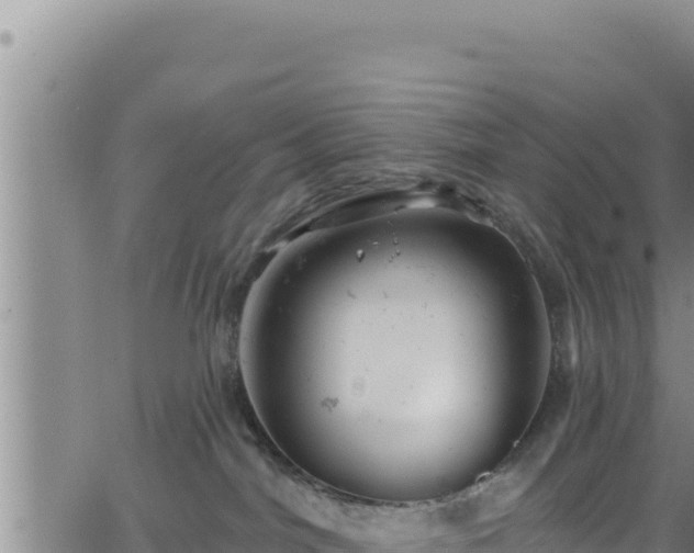 X0000062140044200512161229