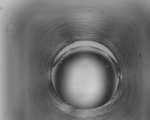 X0000062140045200512161229