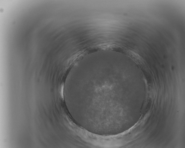 X0000062140047200512161229