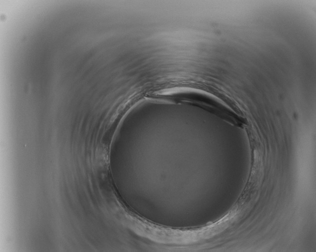 X0000062140048200512161229