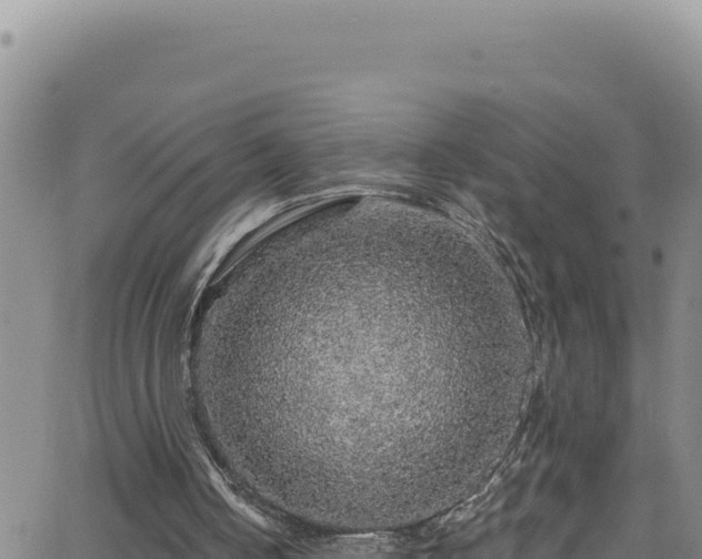 X0000062140050200512161228