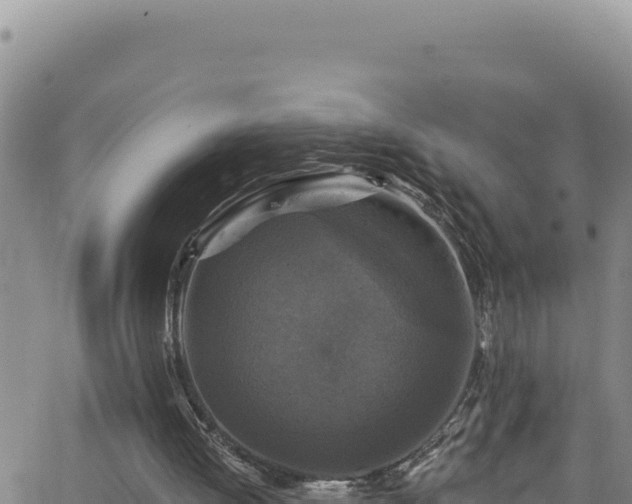 X0000062140052200512161228