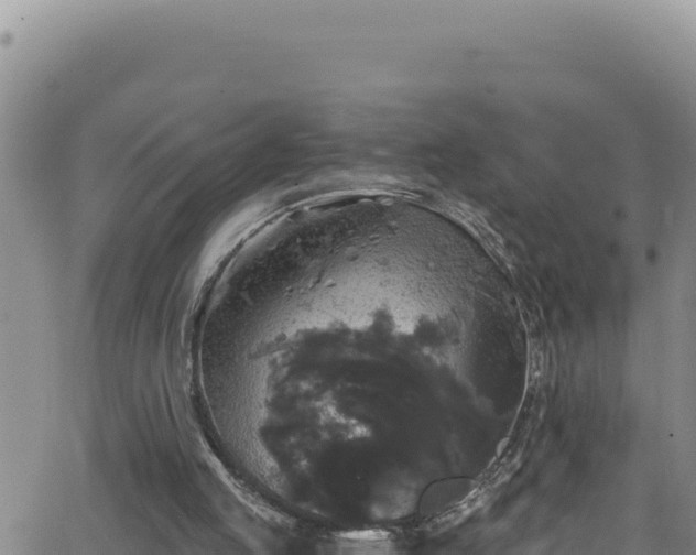 X0000062140053200512161228