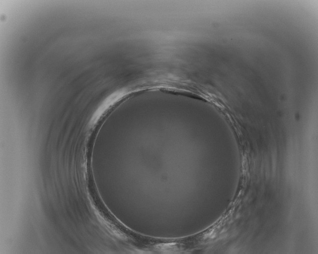 X0000062140054200512161228