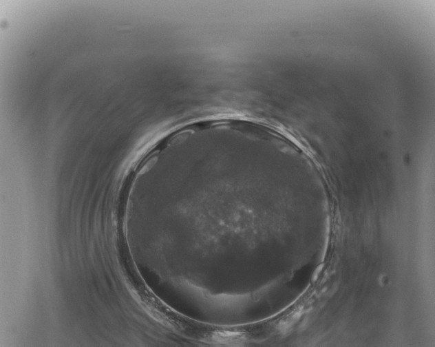 X0000062140055200512161228