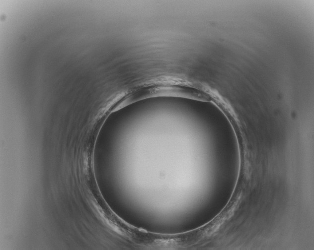 X0000062140057200512161228