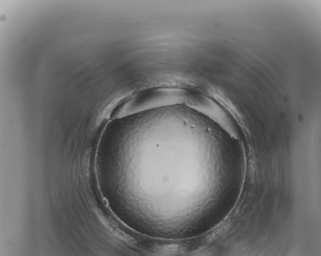 X0000062140058200512161228