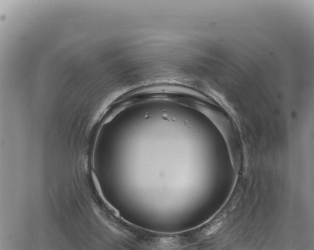 X0000062140060200512161228