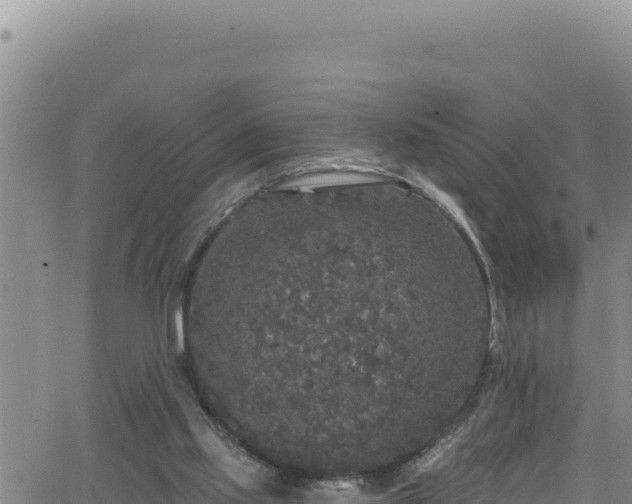 X0000062140061200512161228