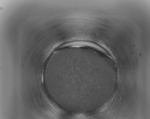 X0000062140062200512161228