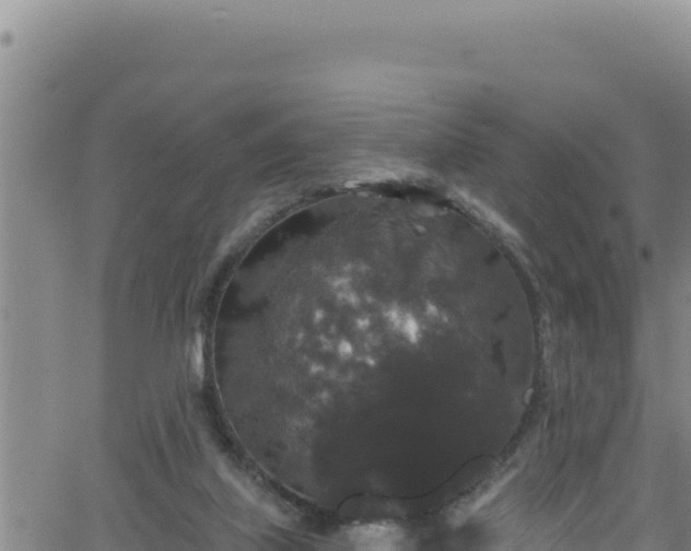 X0000062140067200512161228