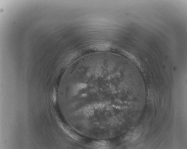 X0000062140069200512161228