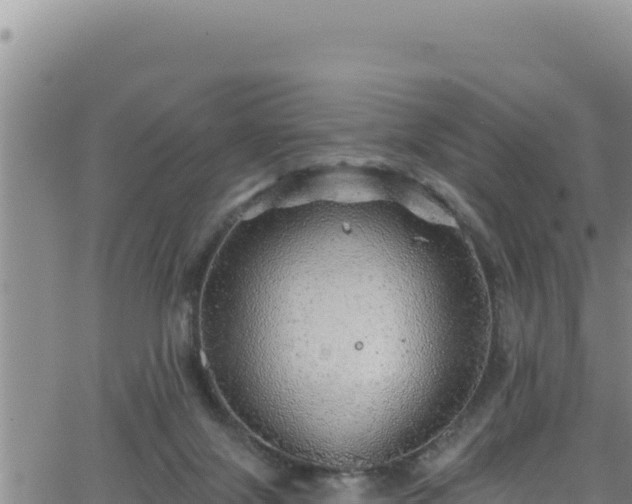 X0000062140071200512161228