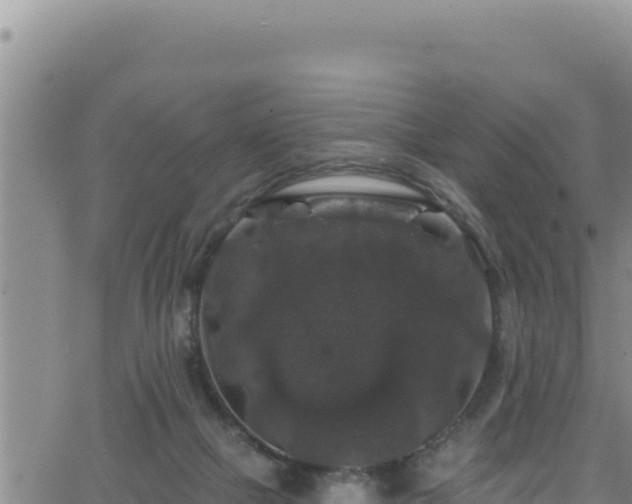 X0000062140073200512161228