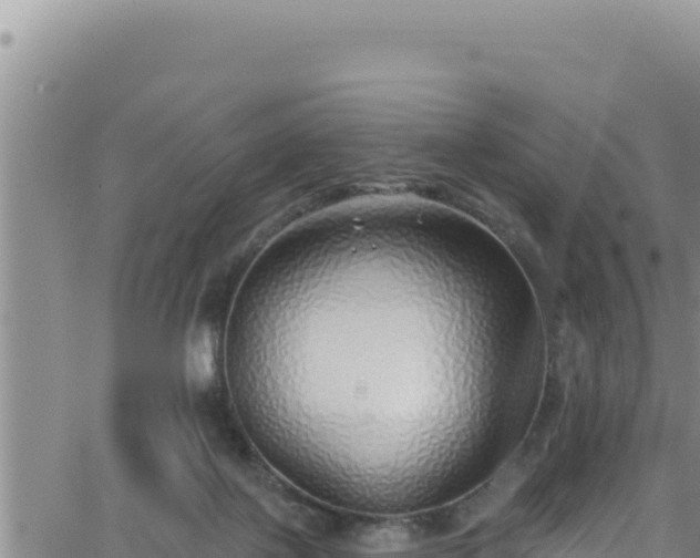 X0000062140075200512161228