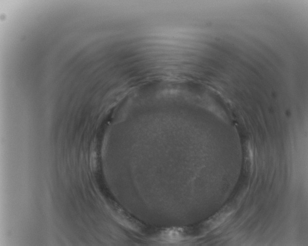 X0000062140080200512161228