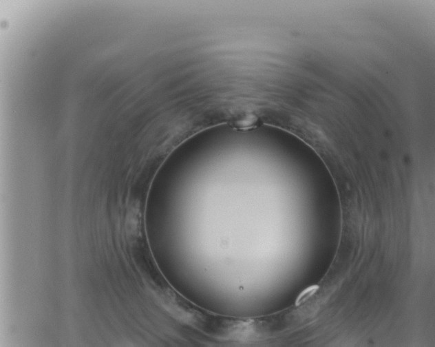 X0000062140083200512161228