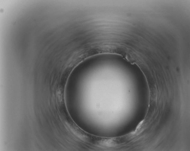 X0000062140086200512161229