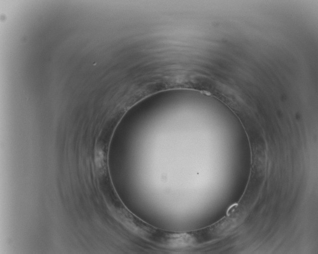 X0000062140087200512161229