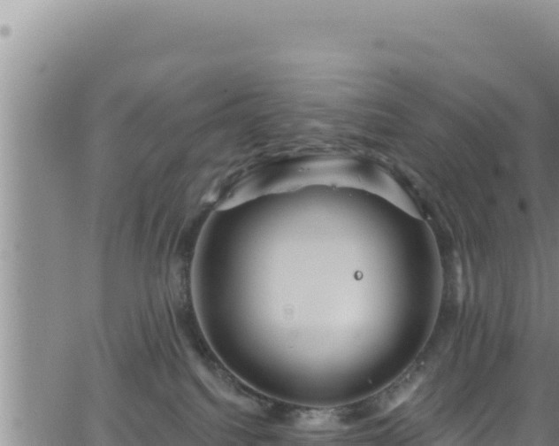 X0000062140088200512161229