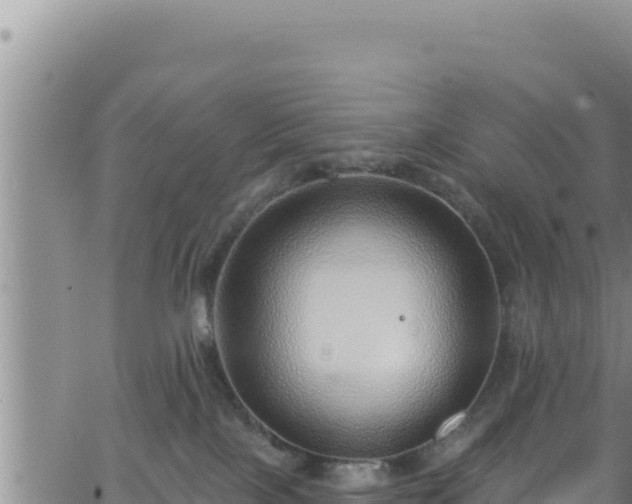 X0000062140089200512161229