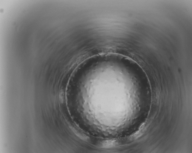 X0000062140090200512161229